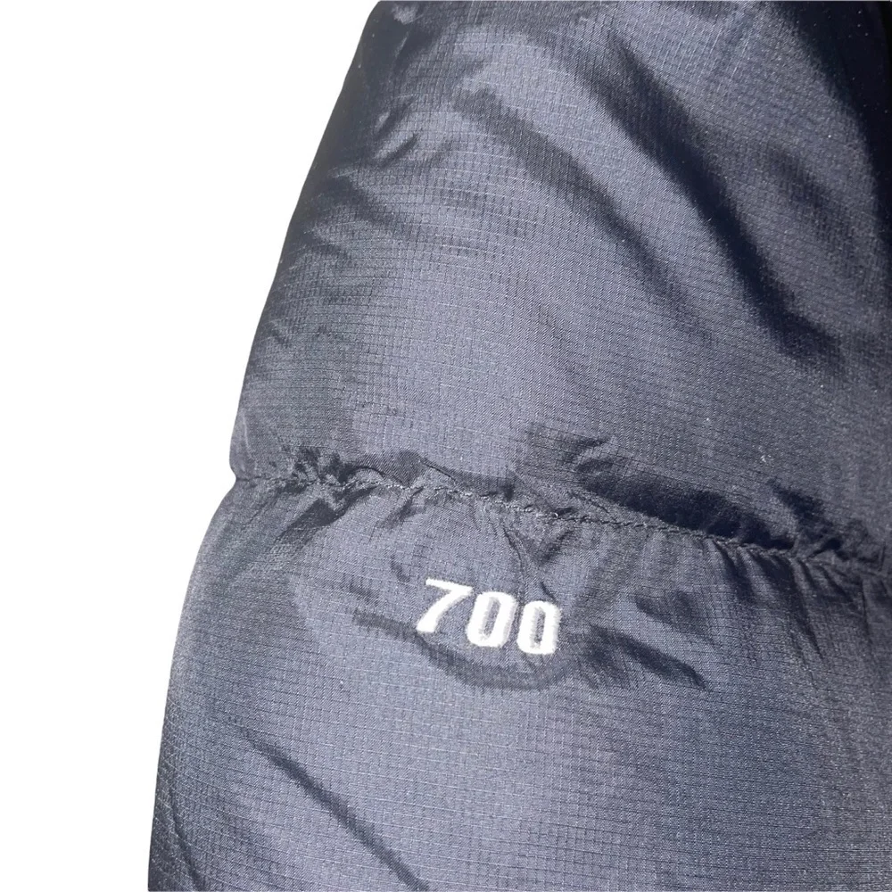 The North Face original north